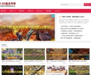 1.85英雄合击传奇 传奇网站截图